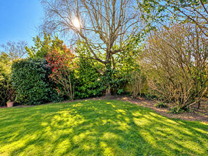 Photo 15- click for photo gallery